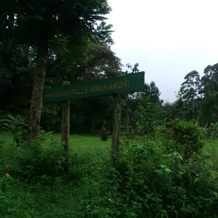 Serene Mountain Lodge Marangu Экстерьер фото